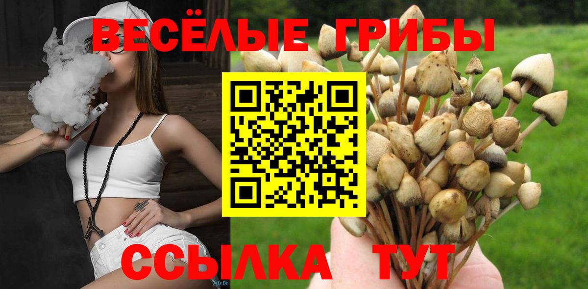Псилоцибиновые грибы Magic Shrooms  Вход с VPN  закладки  Усинск 
